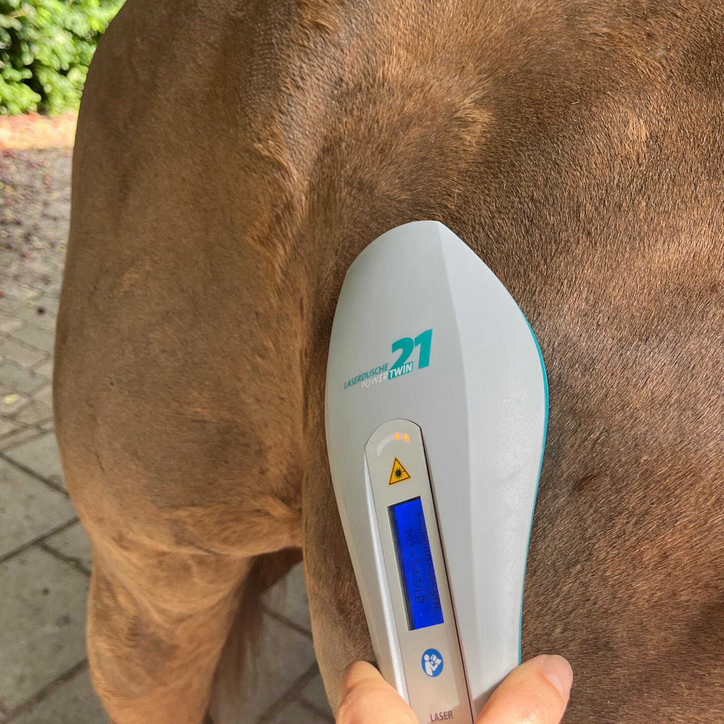 Lasertherapie